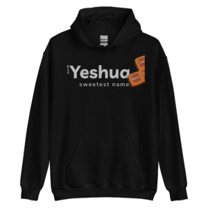 sweet yeshua hoodie